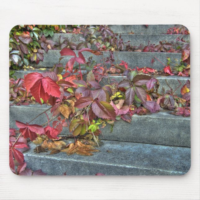 Alfombrilla De Ratón Autumn leaves mousepad (Frente)