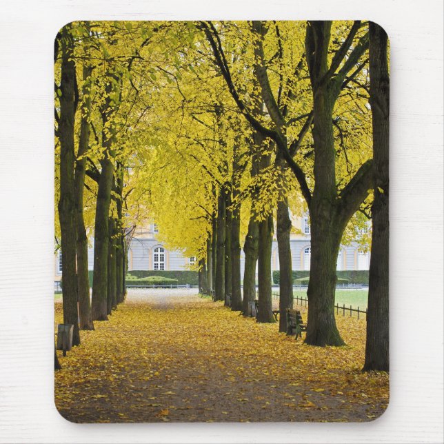 Alfombrilla De Ratón Autumn Mousepad (Frente)