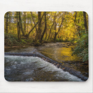Alfombrilla De Ratón Autumn Serenity Forest Mousepad