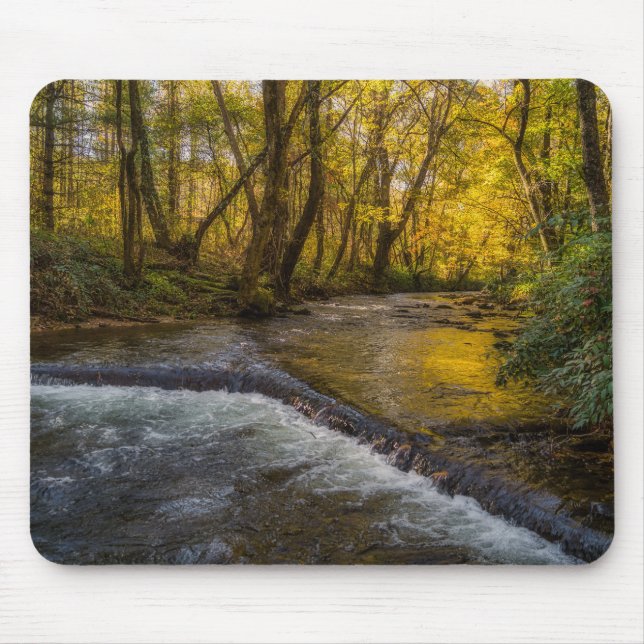 Alfombrilla De Ratón Autumn Serenity Forest Mousepad (Frente)