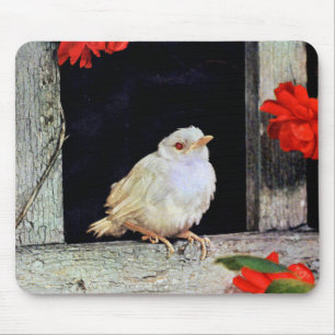 Alfombrilla De Ratón Ave albino robin RARE