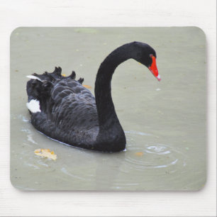 Alfombrilla De Ratón Ave cisne
