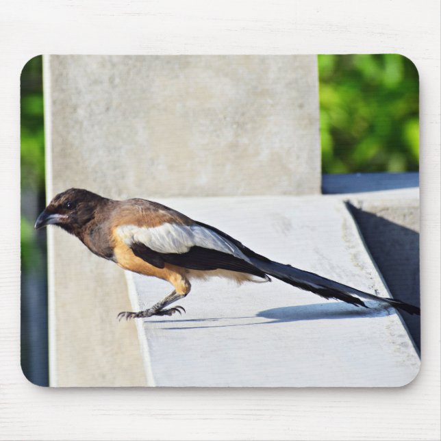 Alfombrilla De Ratón Ave Cuta (Frente)