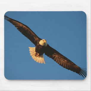 Alfombrilla De Ratón Ave de presa, águila calva en vuelo, Kachemak
