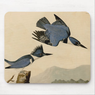 Alfombrilla De Ratón Ave salvaje Audubon Belt Kingfisher