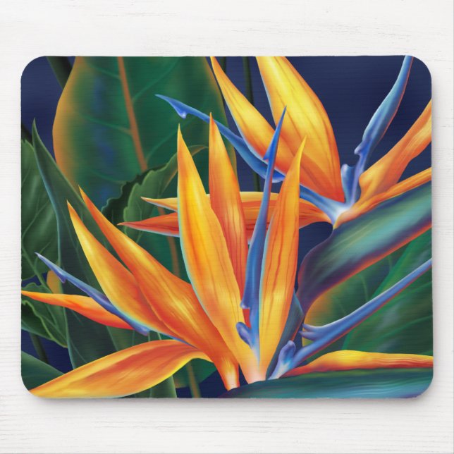 Alfombrilla De Ratón Ave tropical del Paraíso Mousepad (Frente)