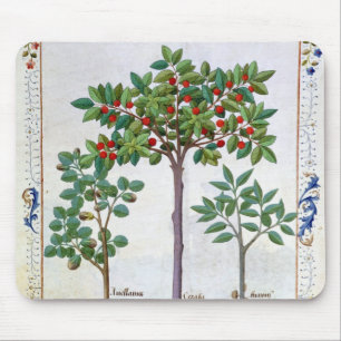 Alfombrilla De Ratón Avellana Bush y cerezo