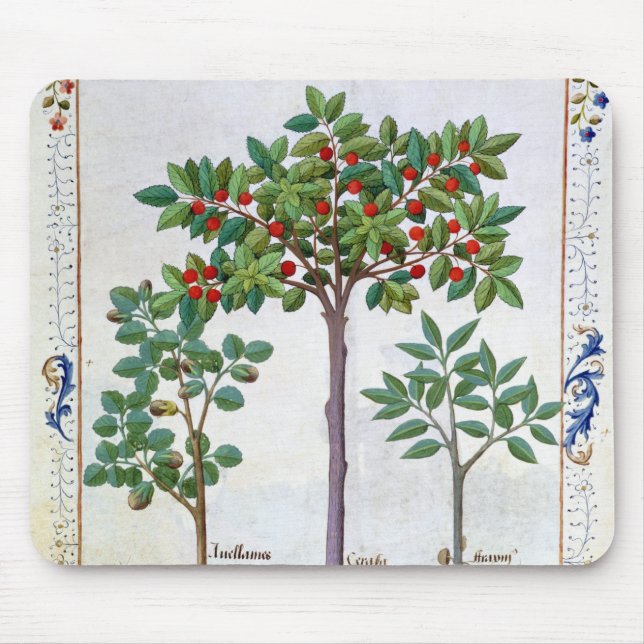 Alfombrilla De Ratón Avellana Bush y cerezo (Frente)