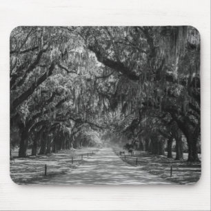 Alfombrilla De Ratón Avenida De La Escala De Grises De Oaks