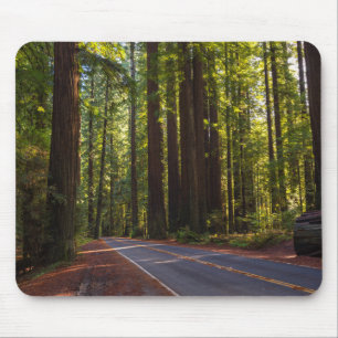Alfombrilla De Ratón Avenida de la secoya gigante California