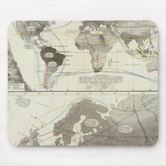 Alfombrilla De Ratón Aves, Aves (Frente)