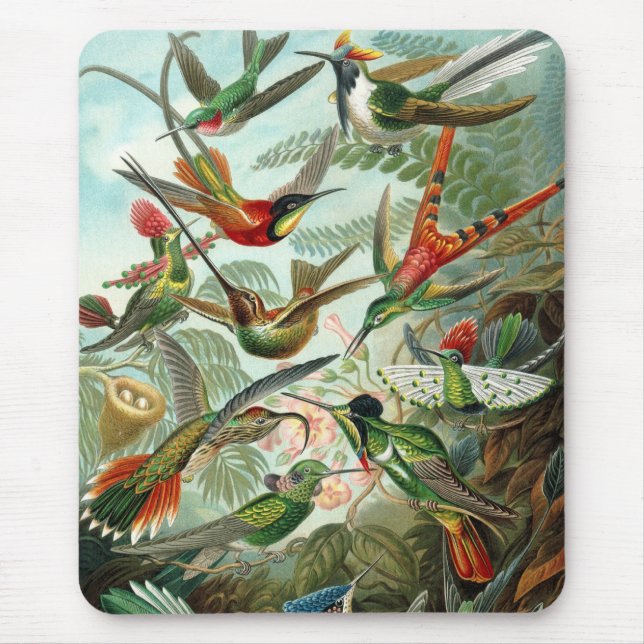 Alfombrilla De Ratón Aves Haeckel (Frente)