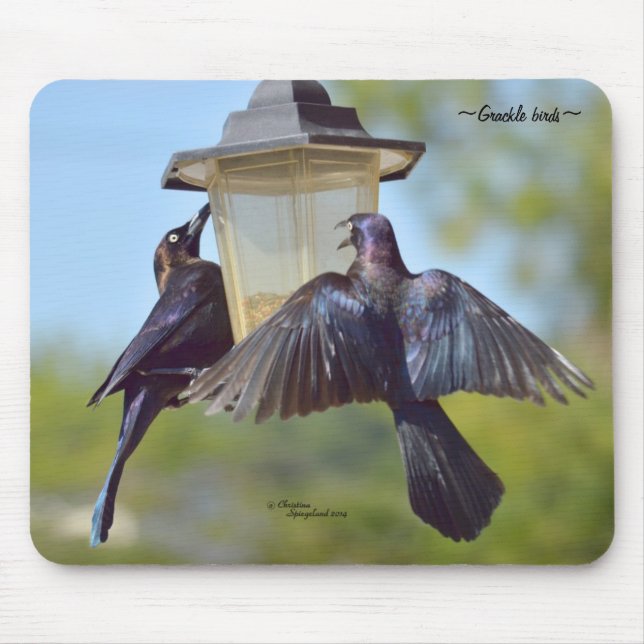 Alfombrilla De Ratón Aves negras grackers Mousepad (Frente)