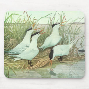 Alfombrilla De Ratón Aves playeras vintage en una marisma de Louis Fuer
