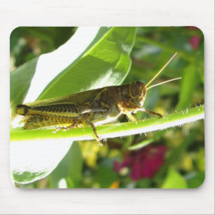 Alfombrilla De Ratón Awesome Grasshopper