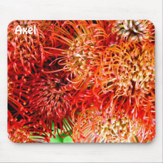 Alfombrilla De Ratón AXEL ~ Banksia en huelga personalizada ~