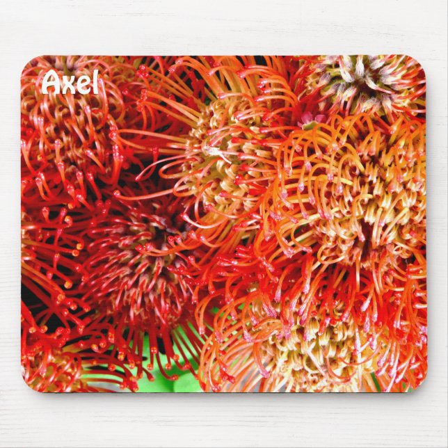 Alfombrilla De Ratón AXEL ~ Banksia en huelga personalizada ~ (Frente)