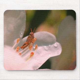 Alfombrilla De Ratón Azalea Flower Y Grasshopper