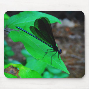 Alfombrilla De Ratón Azul de Damselfly sobre una hoja verde.