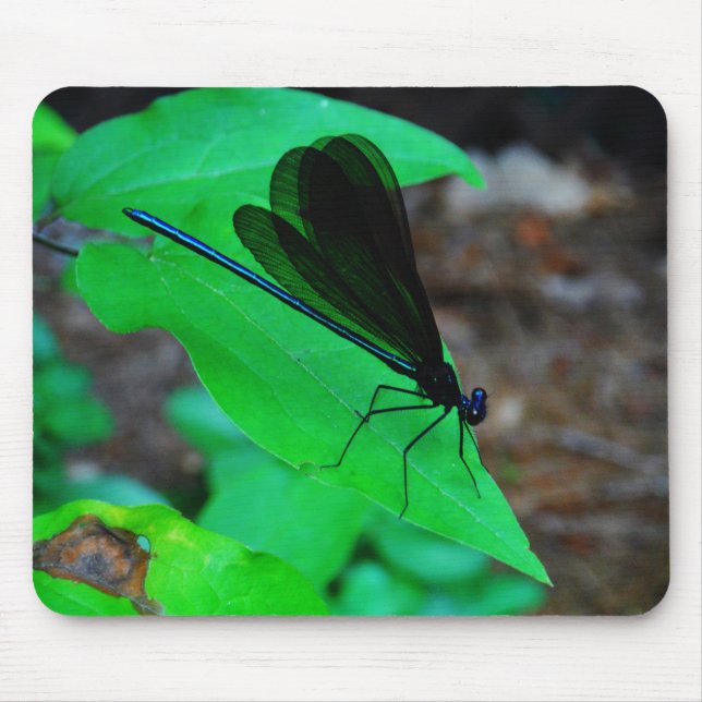 Alfombrilla De Ratón Azul de Damselfly sobre una hoja verde. (Frente)