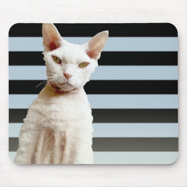 Alfombrilla De Ratón Azul del gato de Rex/raya negra Mousepad (Frente)