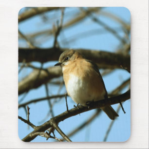 Alfombrilla De Ratón Azul pequeño