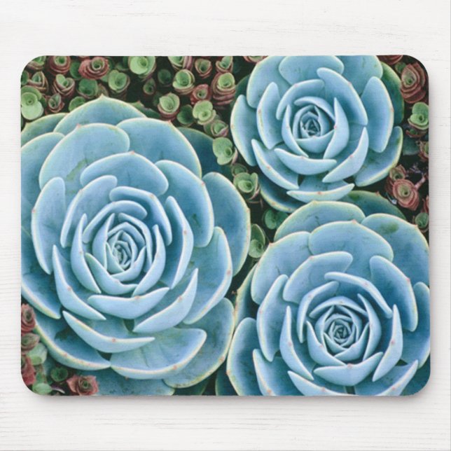 Alfombrilla De Ratón Azules polvorientos Mousepad (Frente)