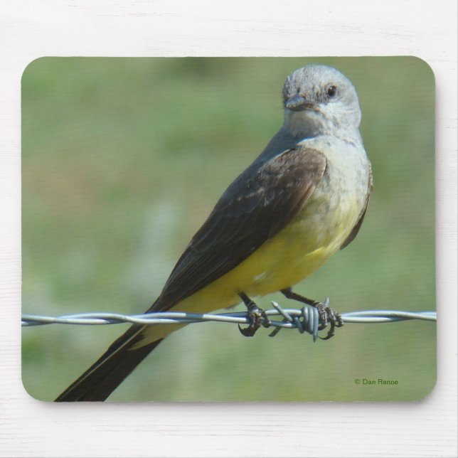 Alfombrilla De Ratón B32 Kingbird (Frente)