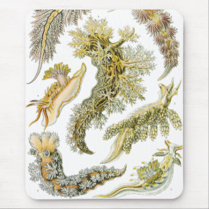 Alfombrilla De Ratón Babosas marinas por Ernst Haeckel, Nudibranchia vi