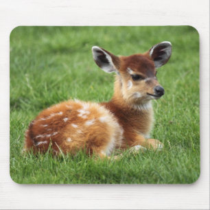 Alfombrilla De Ratón Baby Antelope
