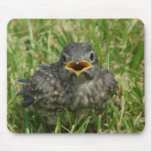 Alfombrilla De Ratón Baby Bluebird