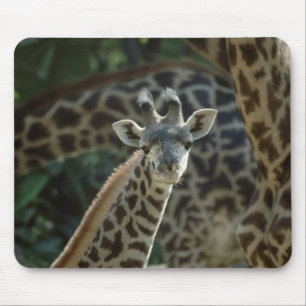 Alfombrilla De Ratón Baby Giraffe