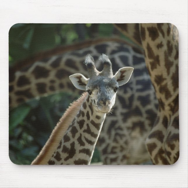 Alfombrilla De Ratón Baby Giraffe (Frente)