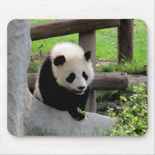 Alfombrilla De Ratón Baby Panda
