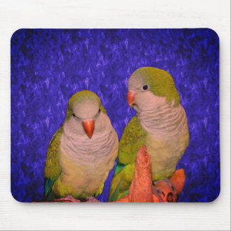 Alfombrilla De Ratón Baby Quaker Parrots Animal