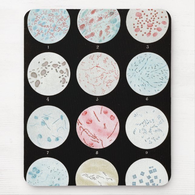 Alfombrilla De Ratón Bacterias (Frente)