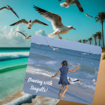 Bailando con gaviotas