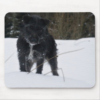 Alfombrilla De Ratón Bailey el Patterdale Terrier