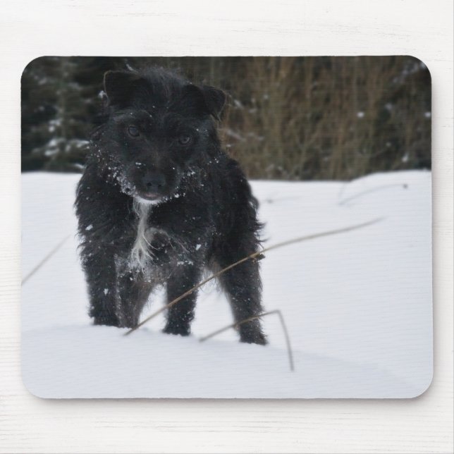 Alfombrilla De Ratón Bailey el Patterdale Terrier (Frente)
