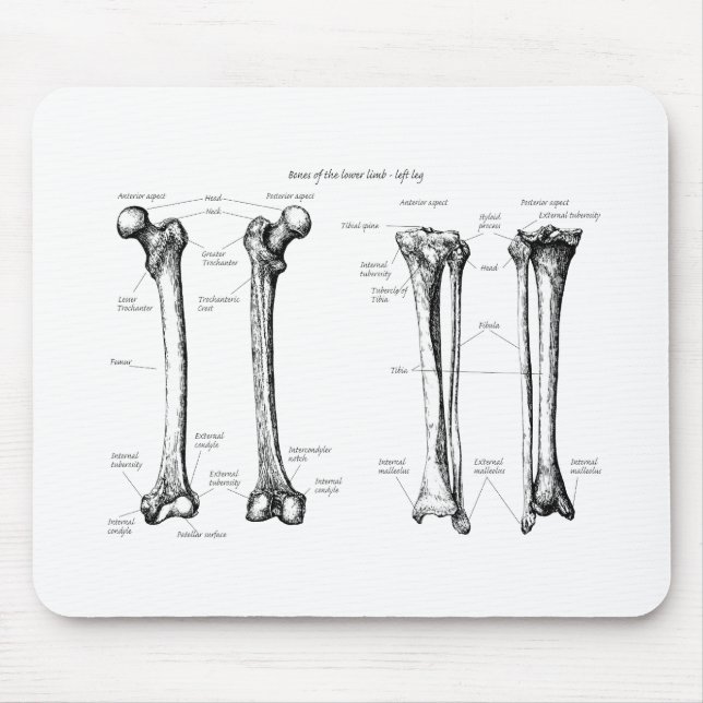 Alfombrilla De Ratón Baje el gris del miembro (Frente)