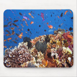 Alfombrilla De Ratón Bajo el mar, escenas de peces acuáticos