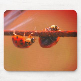 Alfombrilla De Ratón Balanceo de la naturaleza de los Ladybugs
