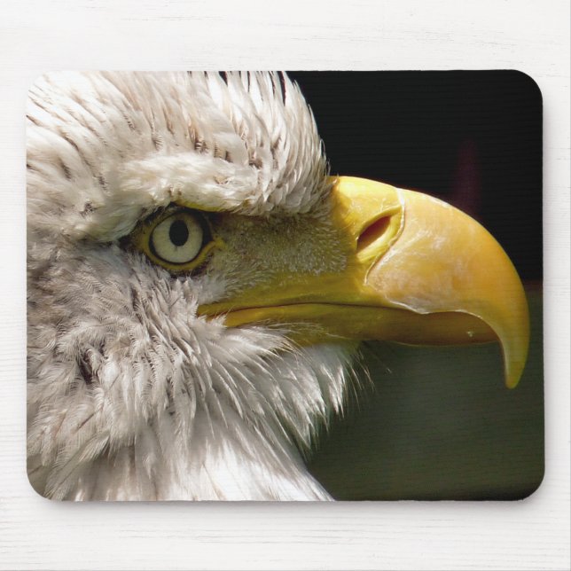 ALFOMBRILLA DE RATÓN BALD EAGLE (Frente)