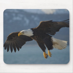 Alfombrilla De Ratón Bald Eagle