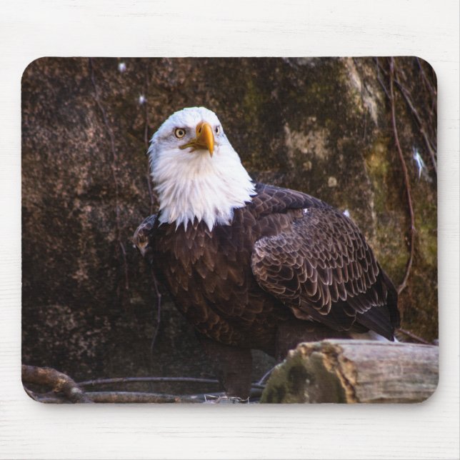Alfombrilla De Ratón Bald Eagle (Frente)