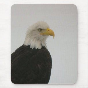 Alfombrilla De Ratón Bald Eagle