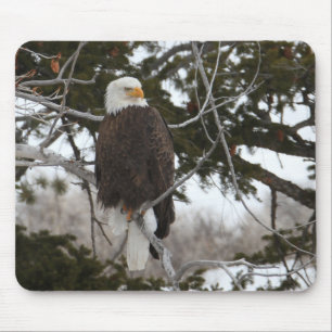 Alfombrilla De Ratón Bald Eagle