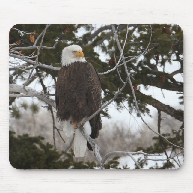 Alfombrilla De Ratón Bald Eagle (Frente)