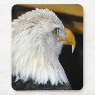 Alfombrilla De Ratón Bald Eagle