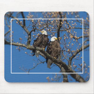 Alfombrilla De Ratón Bald Eagle Pair